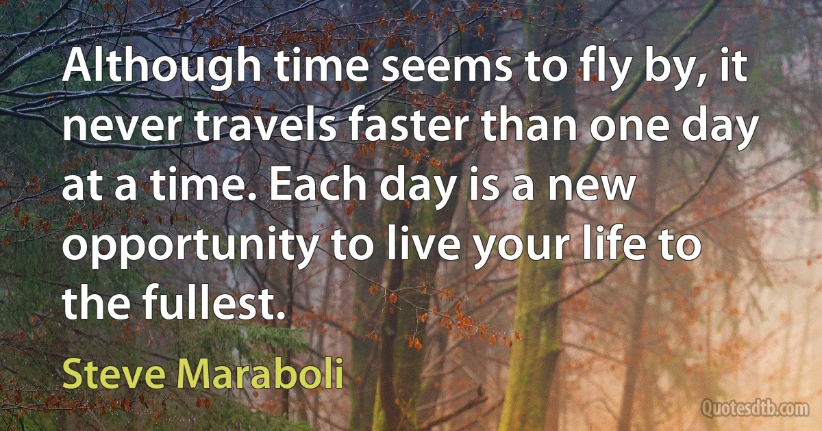 Although time seems to fly by, it never travels faster than one day at a time. Each day is a new opportunity to live your life to the fullest. (Steve Maraboli)