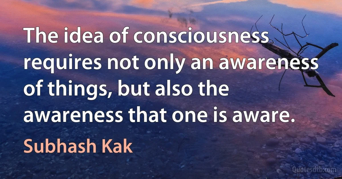 The idea of consciousness requires not only an awareness of things, but also the awareness that one is aware. (Subhash Kak)