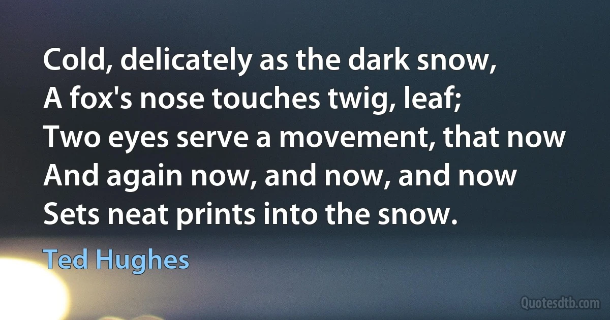 Cold, delicately as the dark snow,
A fox's nose touches twig, leaf;
Two eyes serve a movement, that now
And again now, and now, and now
Sets neat prints into the snow. (Ted Hughes)