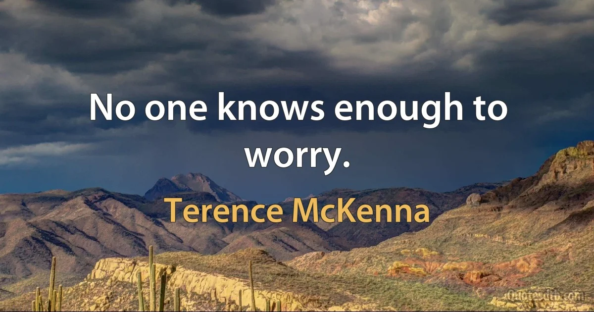 No one knows enough to worry. (Terence McKenna)