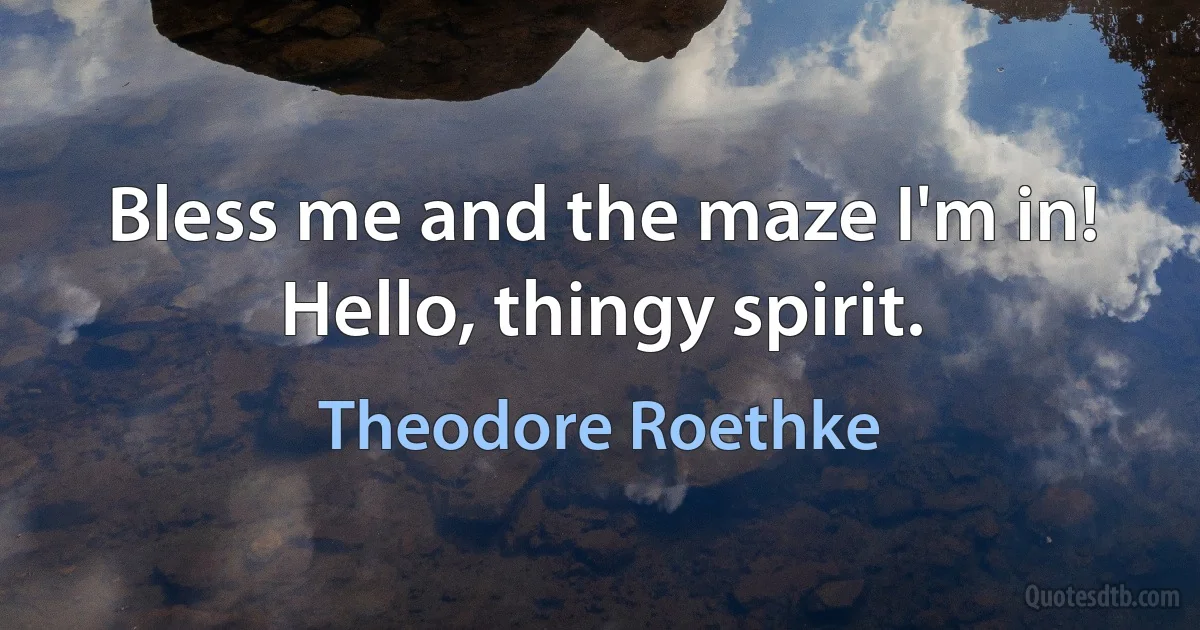 Bless me and the maze I'm in!
Hello, thingy spirit. (Theodore Roethke)