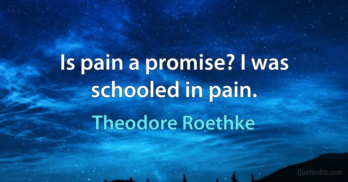 Is pain a promise? I was schooled in pain. (Theodore Roethke)