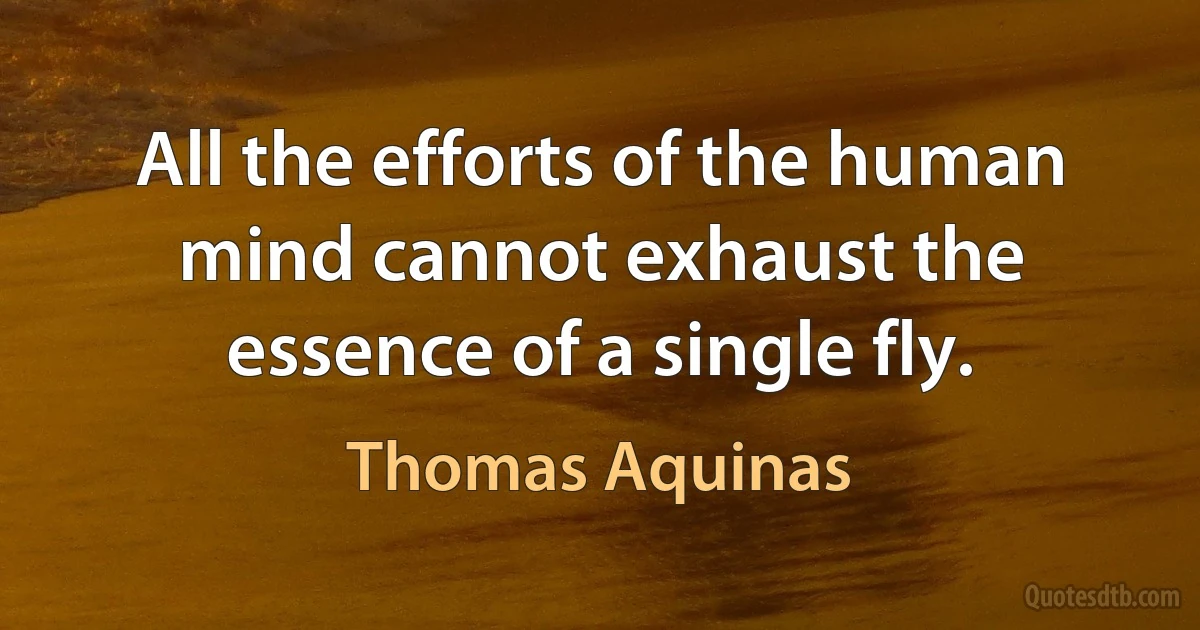 All the efforts of the human mind cannot exhaust the essence of a single fly. (Thomas Aquinas)