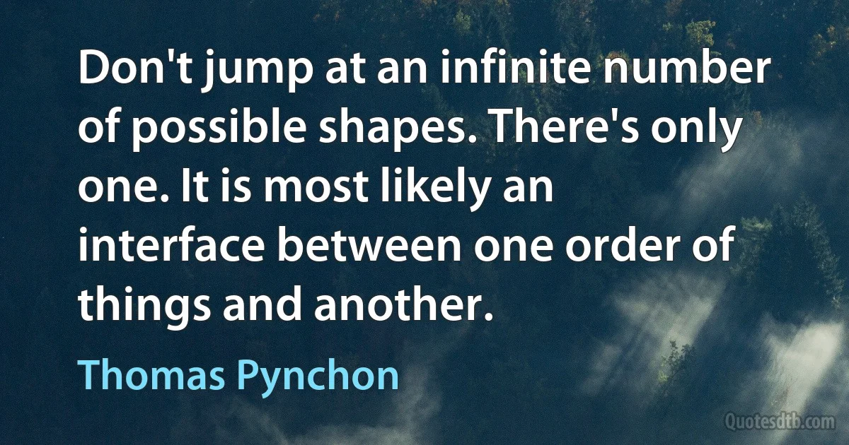 Don't jump at an infinite number of possible shapes. There's only one. It is most likely an interface between one order of things and another. (Thomas Pynchon)