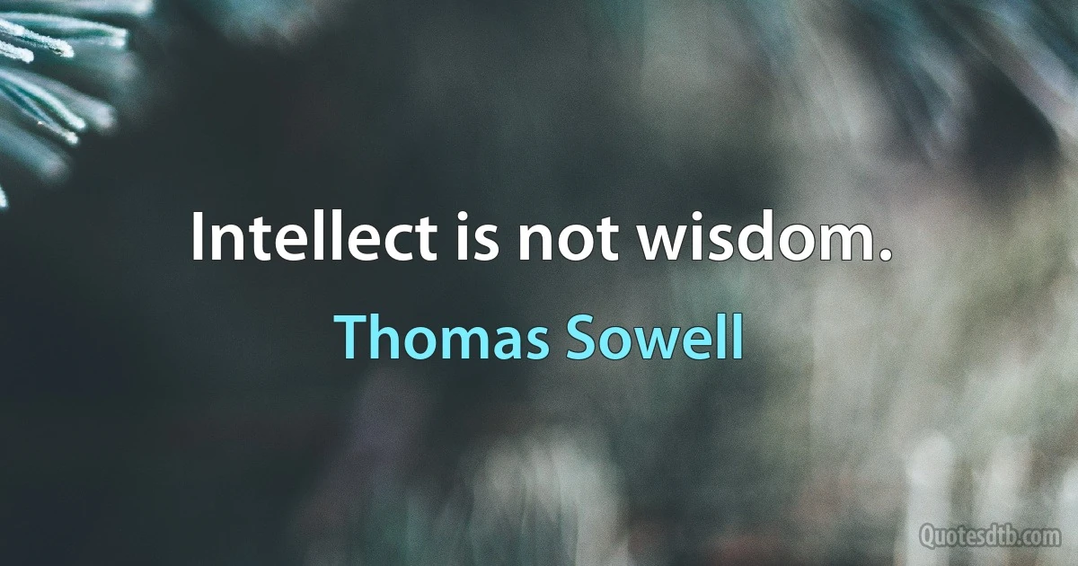 Intellect is not wisdom. (Thomas Sowell)