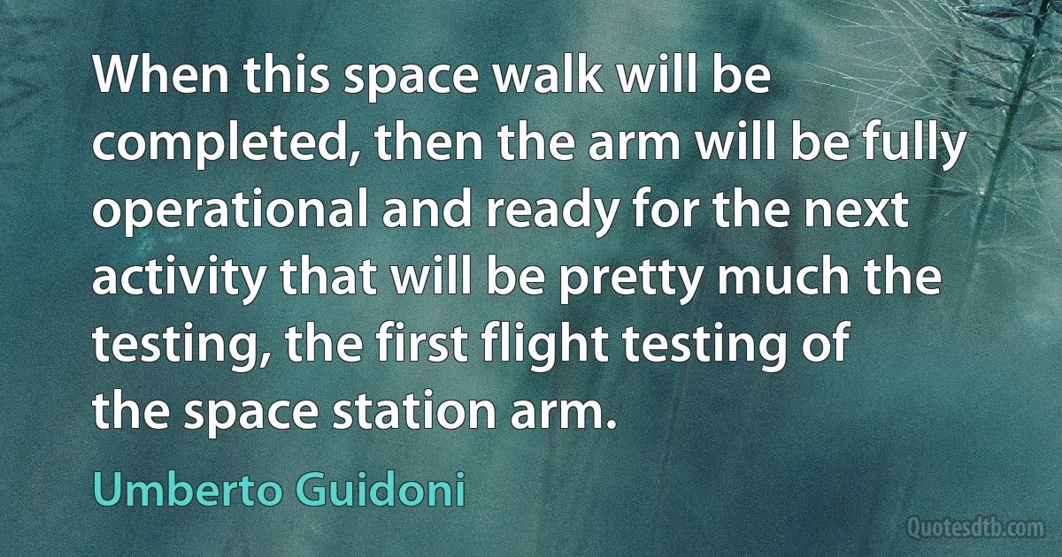 When this space walk will be completed, then the arm will be fully operational and ready for the next activity that will be pretty much the testing, the first flight testing of the space station arm. (Umberto Guidoni)