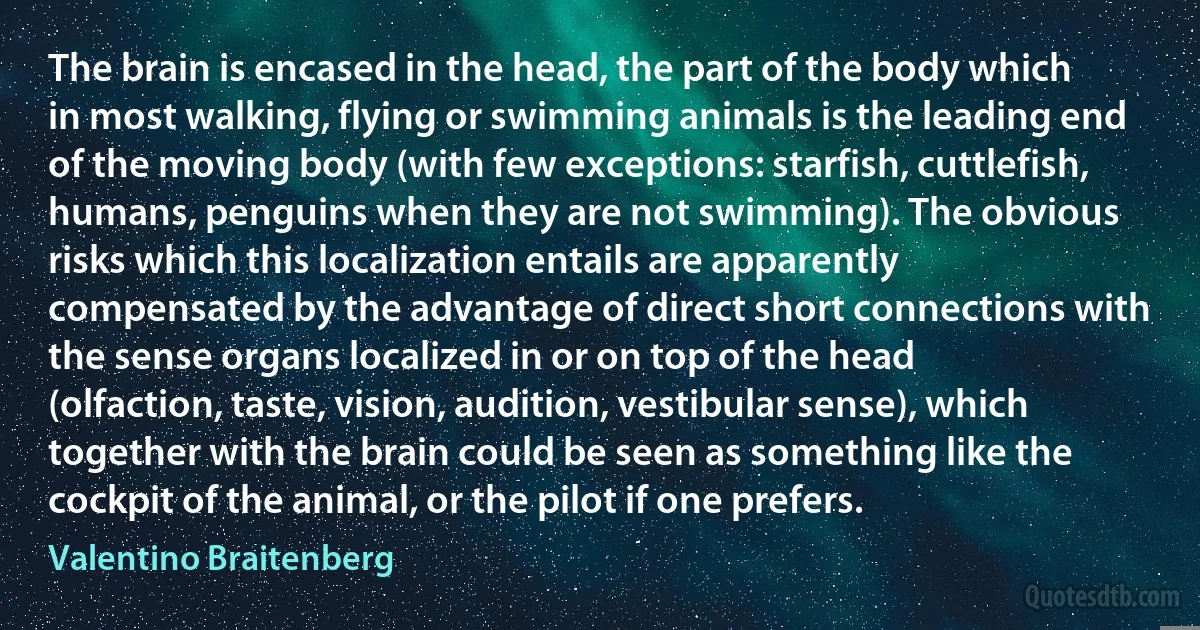 The brain is encased in the head, the part of the body which in most walking, flying or swimming animals is the leading end of the moving body (with few exceptions: starfish, cuttlefish, humans, penguins when they are not swimming). The obvious risks which this localization entails are apparently compensated by the advantage of direct short connections with the sense organs localized in or on top of the head (olfaction, taste, vision, audition, vestibular sense), which together with the brain could be seen as something like the cockpit of the animal, or the pilot if one prefers. (Valentino Braitenberg)