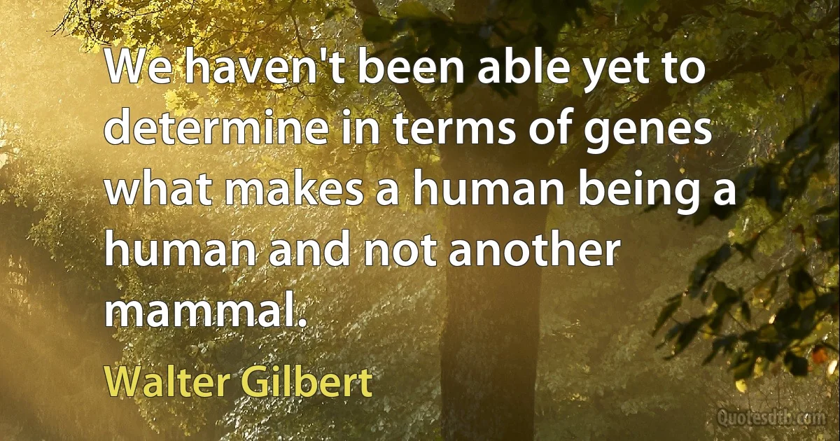 We haven't been able yet to determine in terms of genes what makes a human being a human and not another mammal. (Walter Gilbert)