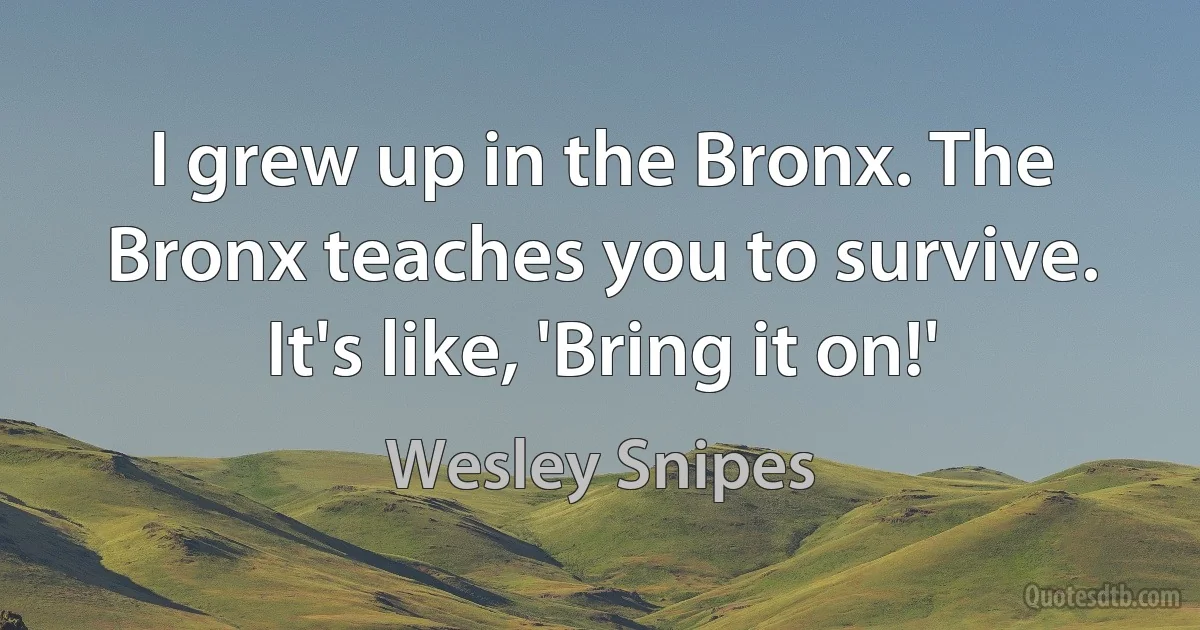 I grew up in the Bronx. The Bronx teaches you to survive. It's like, 'Bring it on!' (Wesley Snipes)