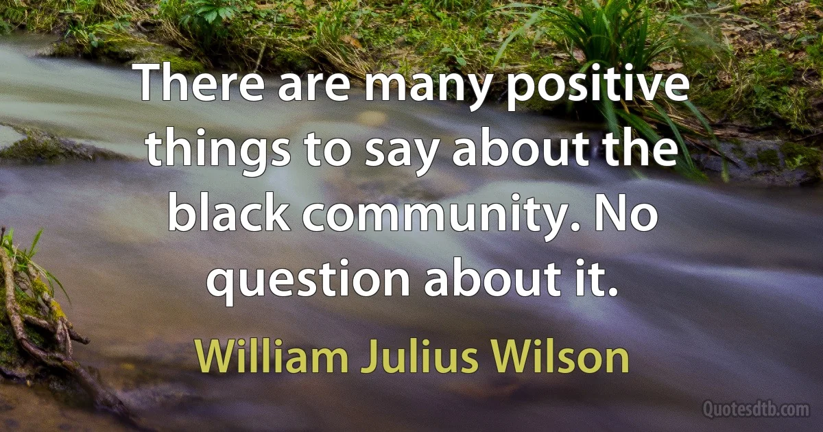 There are many positive things to say about the black community. No question about it. (William Julius Wilson)