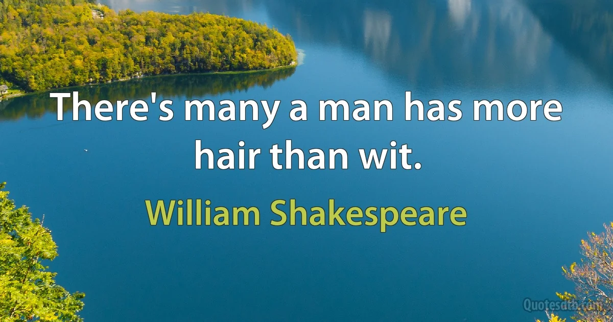 There's many a man has more hair than wit. (William Shakespeare)