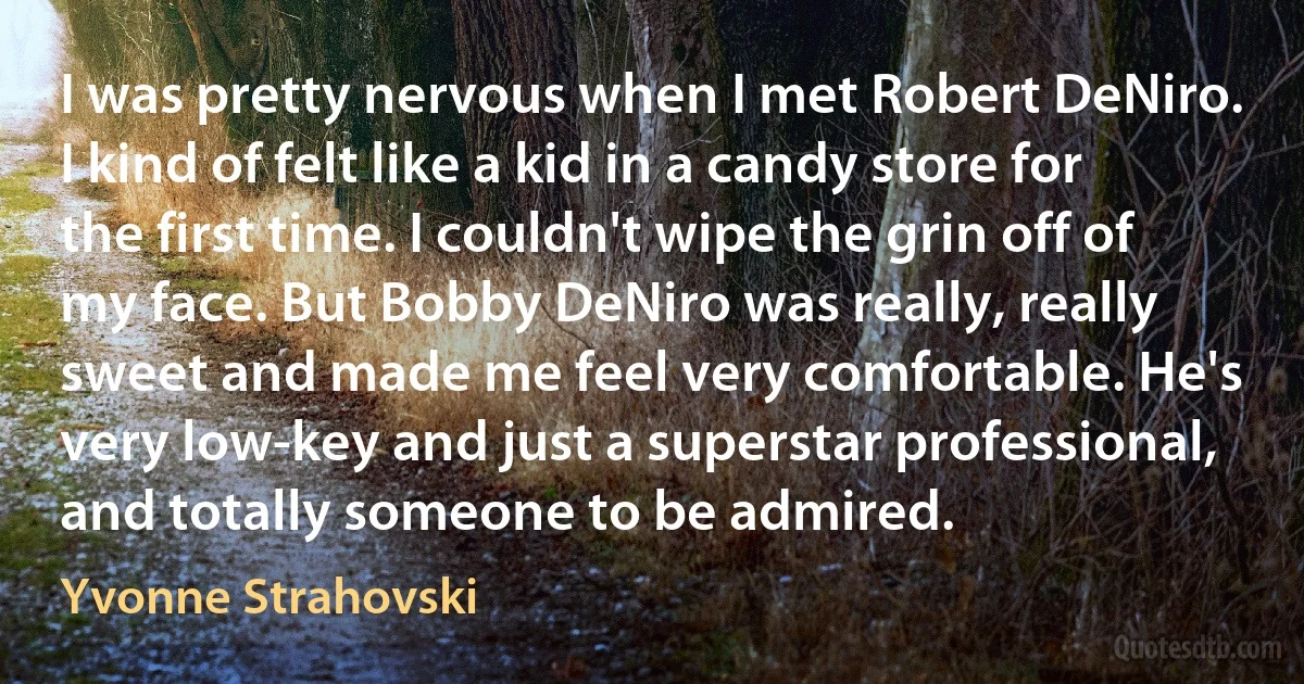 I was pretty nervous when I met Robert DeNiro. I kind of felt like a kid in a candy store for the first time. I couldn't wipe the grin off of my face. But Bobby DeNiro was really, really sweet and made me feel very comfortable. He's very low-key and just a superstar professional, and totally someone to be admired. (Yvonne Strahovski)