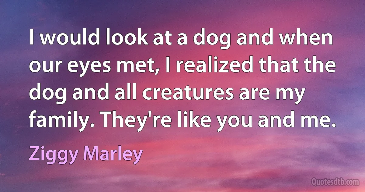 I would look at a dog and when our eyes met, I realized that the dog and all creatures are my family. They're like you and me. (Ziggy Marley)