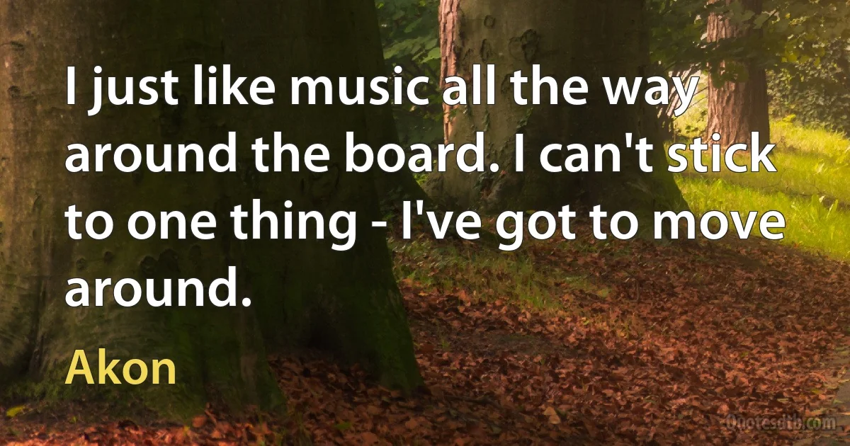 I just like music all the way around the board. I can't stick to one thing - I've got to move around. (Akon)