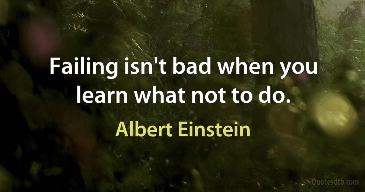 Failing isn't bad when you learn what not to do. (Albert Einstein)