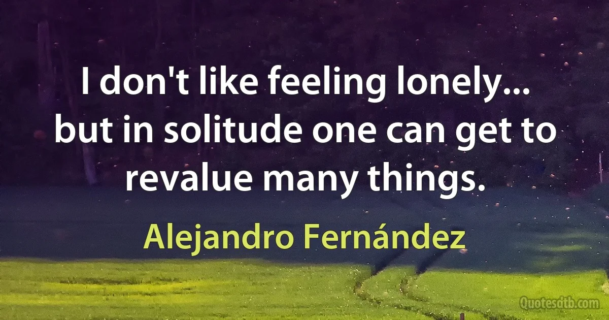 I don't like feeling lonely... but in solitude one can get to revalue many things. (Alejandro Fernández)