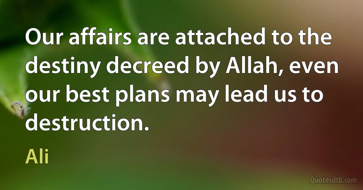 Our affairs are attached to the destiny decreed by Allah, even our best plans may lead us to destruction. (Ali)