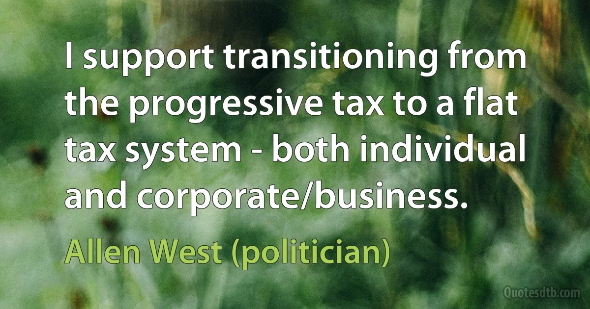 I support transitioning from the progressive tax to a flat tax system - both individual and corporate/business. (Allen West (politician))