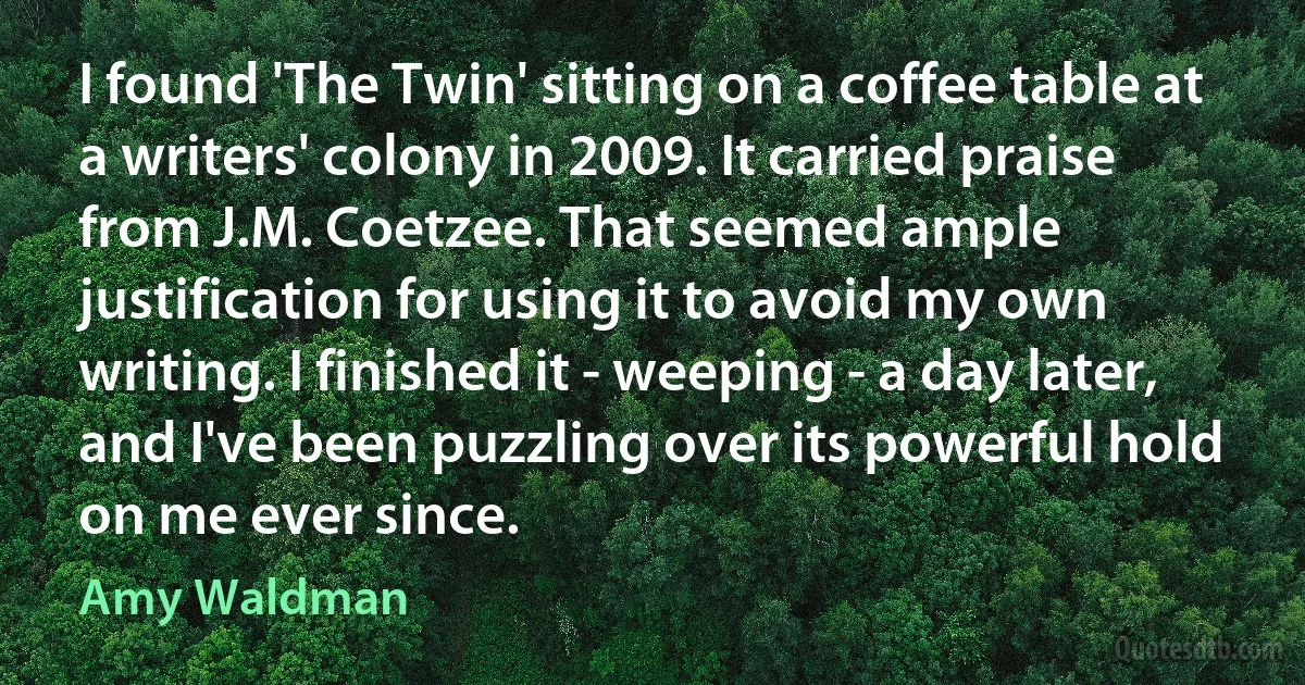 I found 'The Twin' sitting on a coffee table at a writers' colony in 2009. It carried praise from J.M. Coetzee. That seemed ample justification for using it to avoid my own writing. I finished it - weeping - a day later, and I've been puzzling over its powerful hold on me ever since. (Amy Waldman)