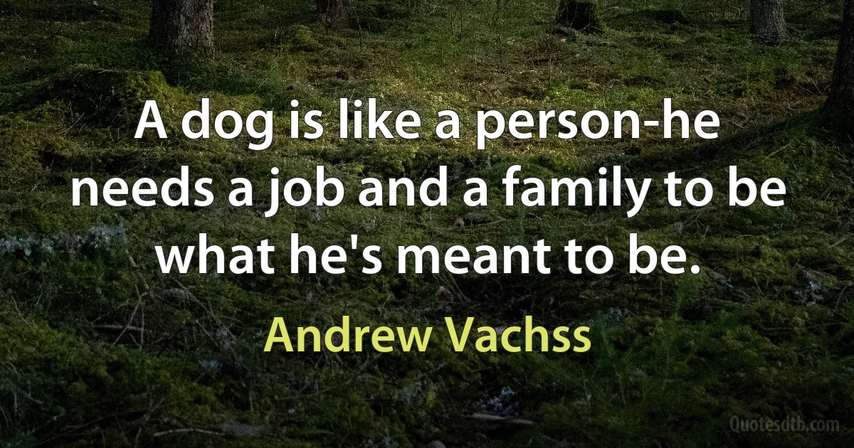 A dog is like a person-he needs a job and a family to be what he's meant to be. (Andrew Vachss)