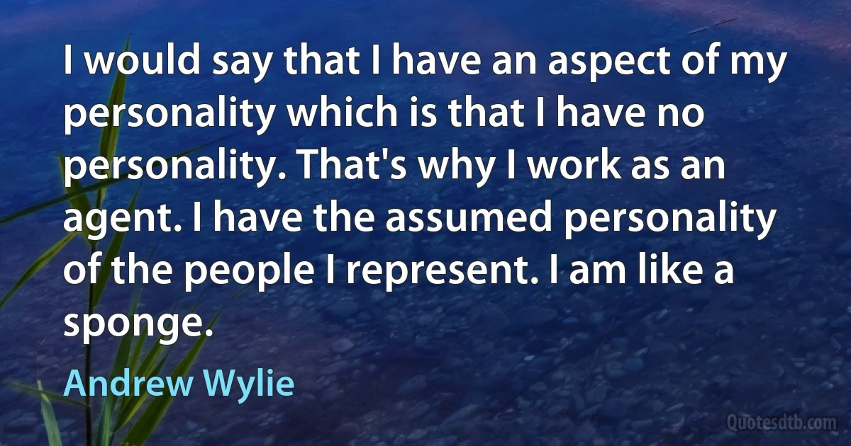 I would say that I have an aspect of my personality which is that I have no personality. That's why I work as an agent. I have the assumed personality of the people I represent. I am like a sponge. (Andrew Wylie)