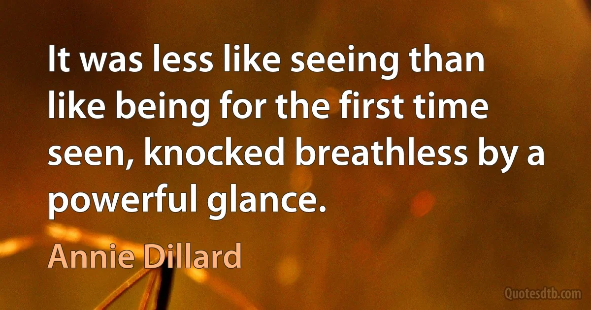 It was less like seeing than like being for the first time seen, knocked breathless by a powerful glance. (Annie Dillard)