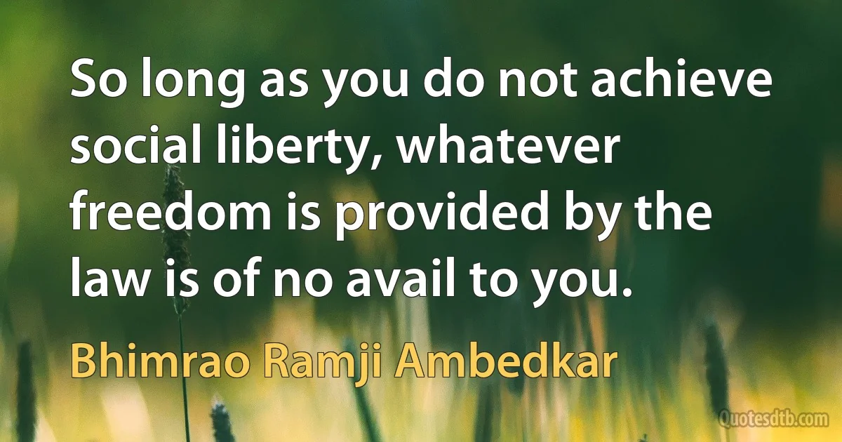 So long as you do not achieve social liberty, whatever freedom is provided by the law is of no avail to you. (Bhimrao Ramji Ambedkar)