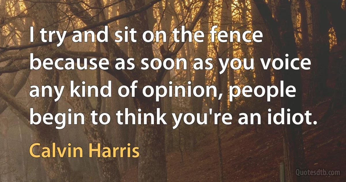 I try and sit on the fence because as soon as you voice any kind of opinion, people begin to think you're an idiot. (Calvin Harris)