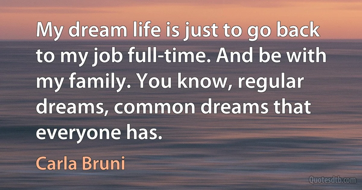 My dream life is just to go back to my job full-time. And be with my family. You know, regular dreams, common dreams that everyone has. (Carla Bruni)