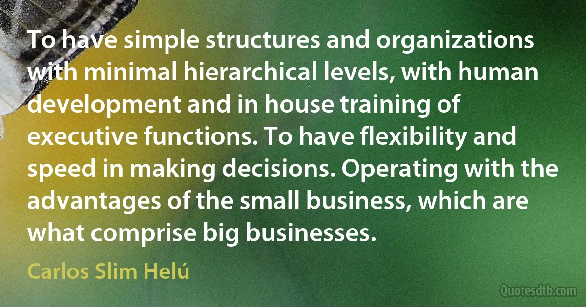 To have simple structures and organizations with minimal hierarchical levels, with human development and in house training of executive functions. To have flexibility and speed in making decisions. Operating with the advantages of the small business, which are what comprise big businesses. (Carlos Slim Helú)