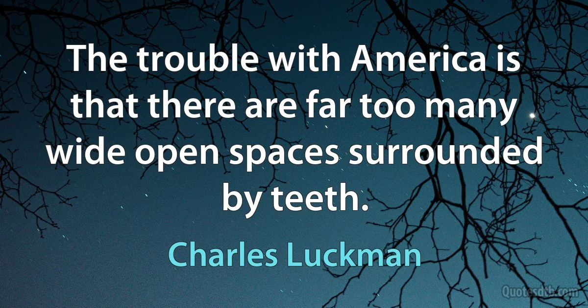 The trouble with America is that there are far too many wide open spaces surrounded by teeth. (Charles Luckman)