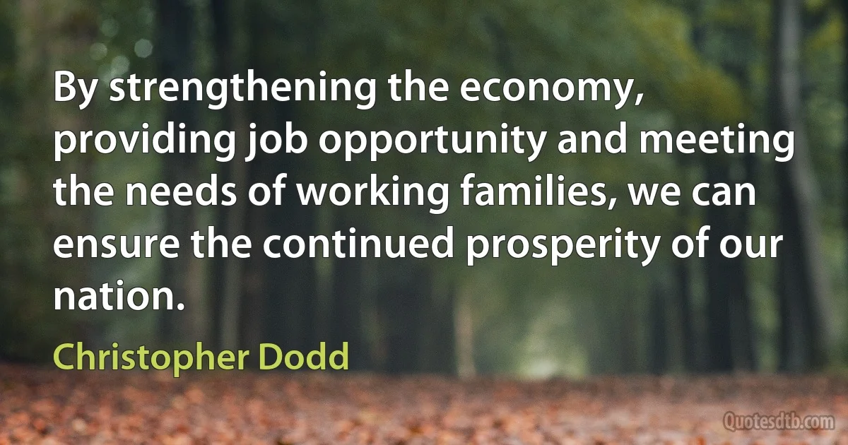 By strengthening the economy, providing job opportunity and meeting the needs of working families, we can ensure the continued prosperity of our nation. (Christopher Dodd)