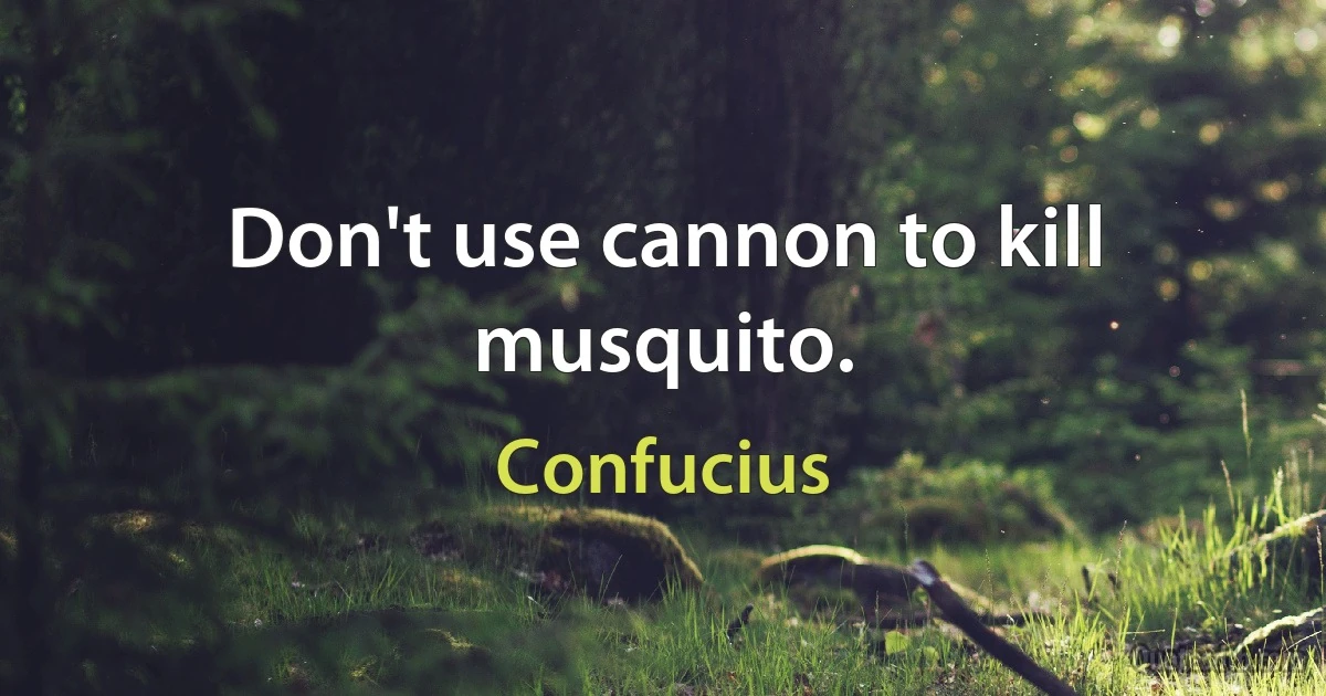 Don't use cannon to kill musquito. (Confucius)