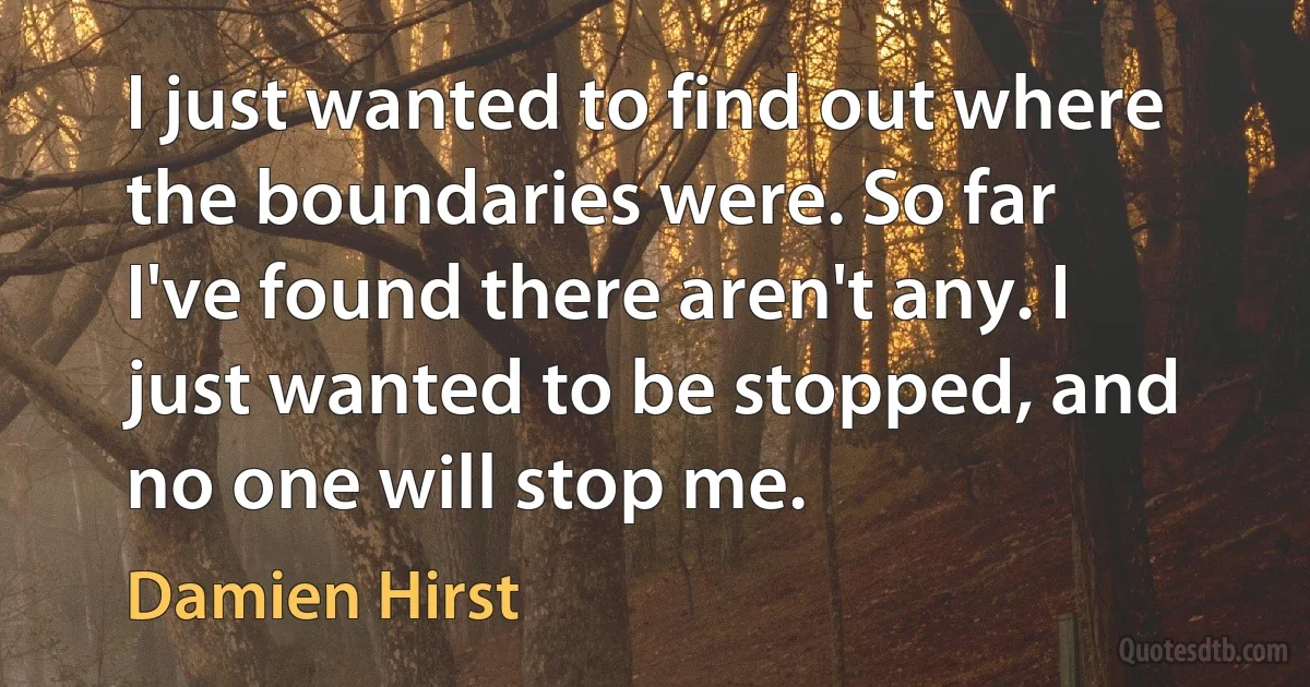 I just wanted to find out where the boundaries were. So far I've found there aren't any. I just wanted to be stopped, and no one will stop me. (Damien Hirst)