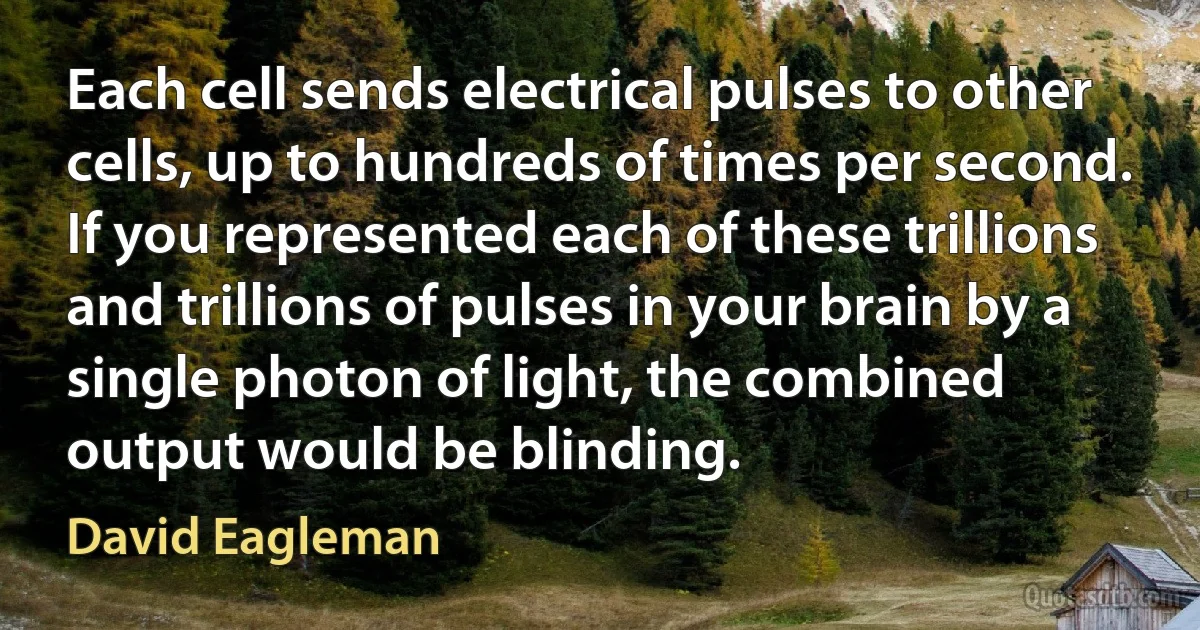 Each cell sends electrical pulses to other cells, up to hundreds of times per second. If you represented each of these trillions and trillions of pulses in your brain by a single photon of light, the combined output would be blinding. (David Eagleman)