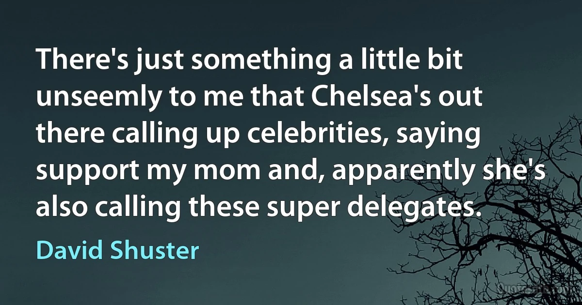 There's just something a little bit unseemly to me that Chelsea's out there calling up celebrities, saying support my mom and, apparently she's also calling these super delegates. (David Shuster)