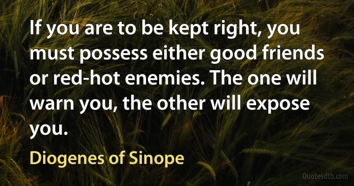 If you are to be kept right, you must possess either good friends or red-hot enemies. The one will warn you, the other will expose you. (Diogenes of Sinope)