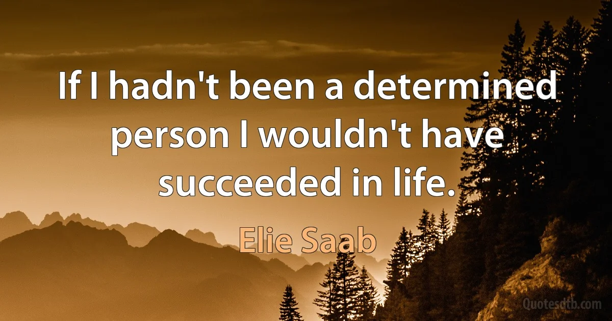 If I hadn't been a determined person I wouldn't have succeeded in life. (Elie Saab)