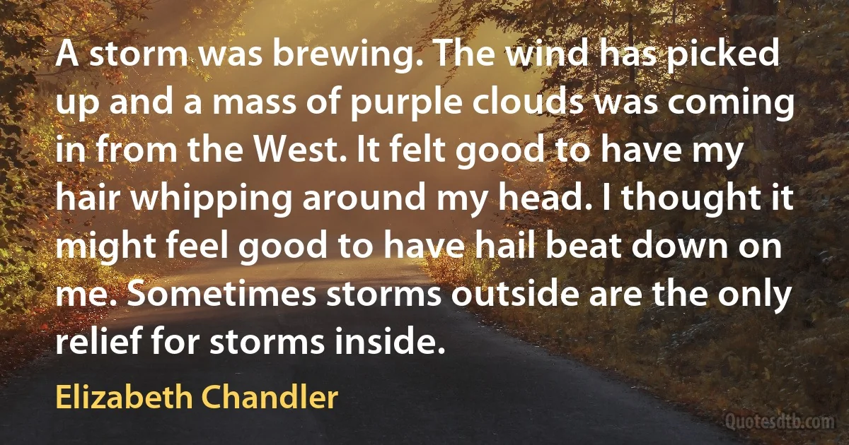 A storm was brewing. The wind has picked up and a mass of purple clouds was coming in from the West. It felt good to have my hair whipping around my head. I thought it might feel good to have hail beat down on me. Sometimes storms outside are the only relief for storms inside. (Elizabeth Chandler)