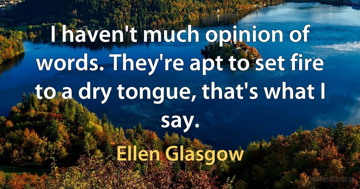 I haven't much opinion of words. They're apt to set fire to a dry tongue, that's what I say. (Ellen Glasgow)