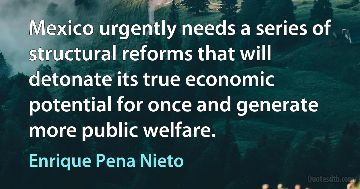 Mexico urgently needs a series of structural reforms that will detonate its true economic potential for once and generate more public welfare. (Enrique Pena Nieto)