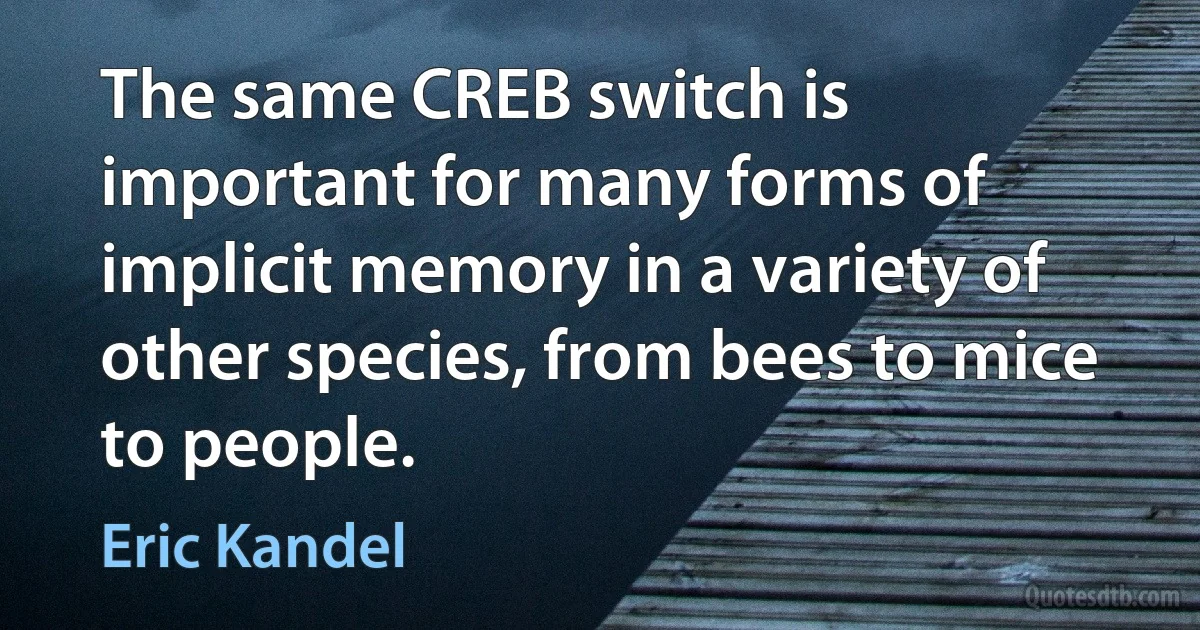 The same CREB switch is important for many forms of implicit memory in a variety of other species, from bees to mice to people. (Eric Kandel)