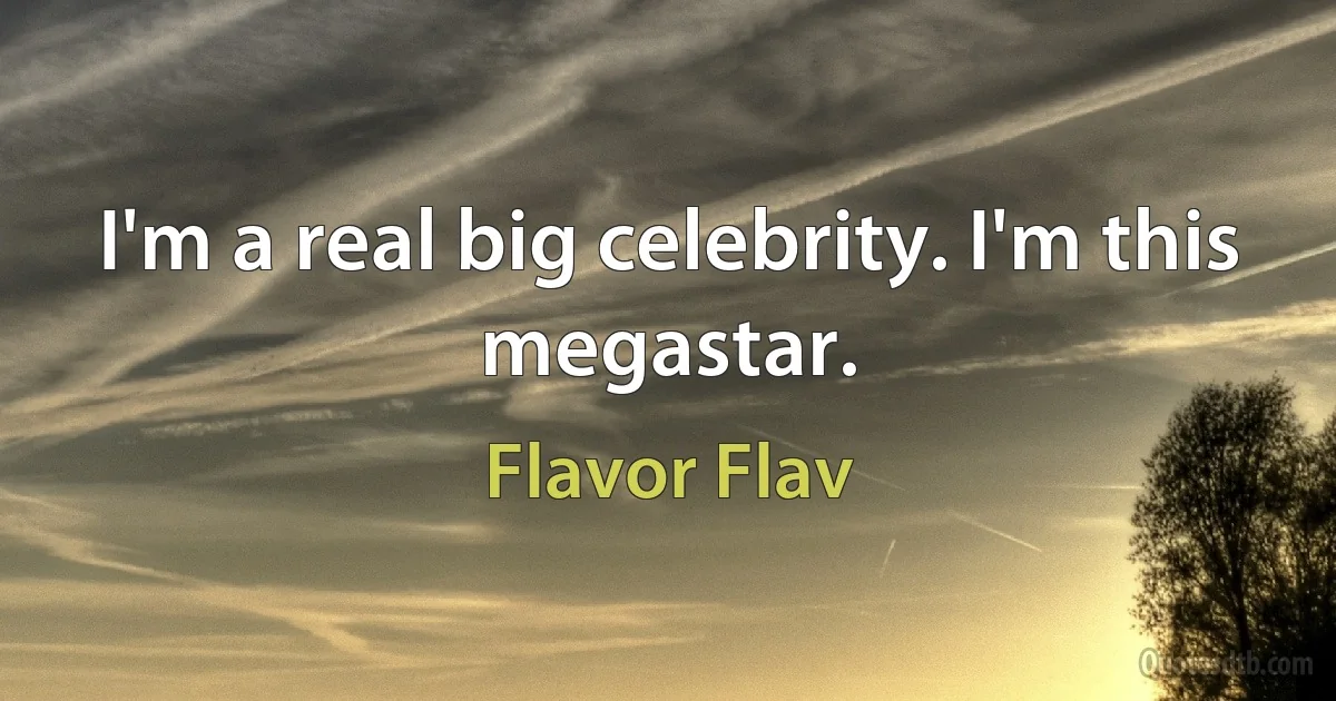 I'm a real big celebrity. I'm this megastar. (Flavor Flav)