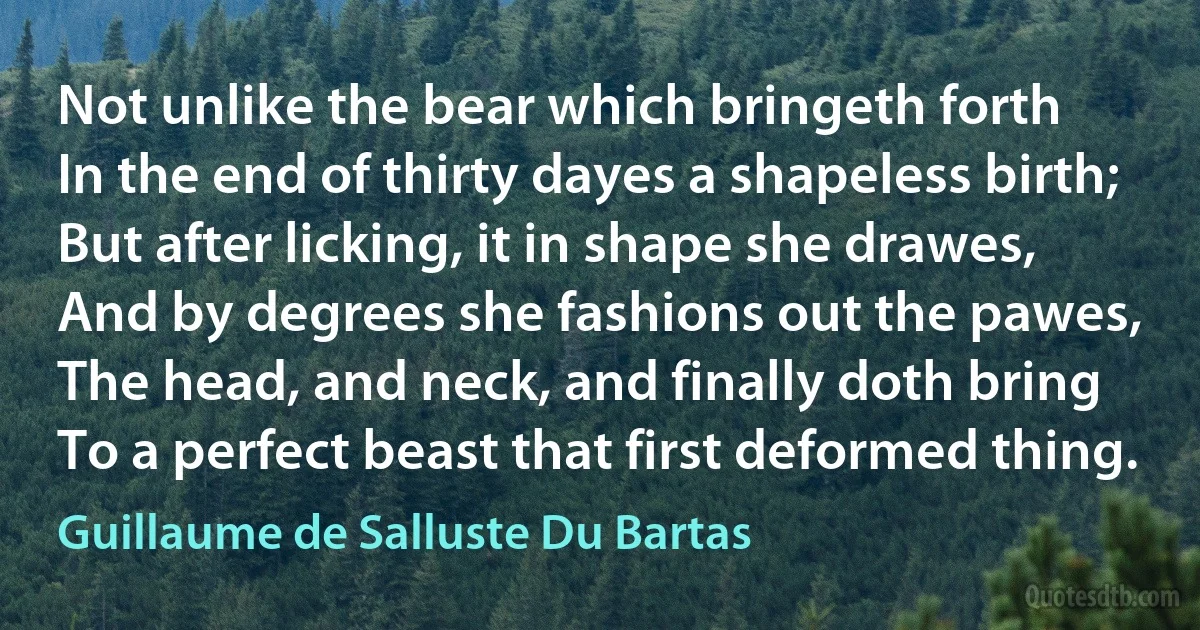 Not unlike the bear which bringeth forth
In the end of thirty dayes a shapeless birth;
But after licking, it in shape she drawes,
And by degrees she fashions out the pawes,
The head, and neck, and finally doth bring
To a perfect beast that first deformed thing. (Guillaume de Salluste Du Bartas)