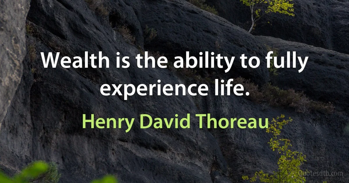 Wealth is the ability to fully experience life. (Henry David Thoreau)