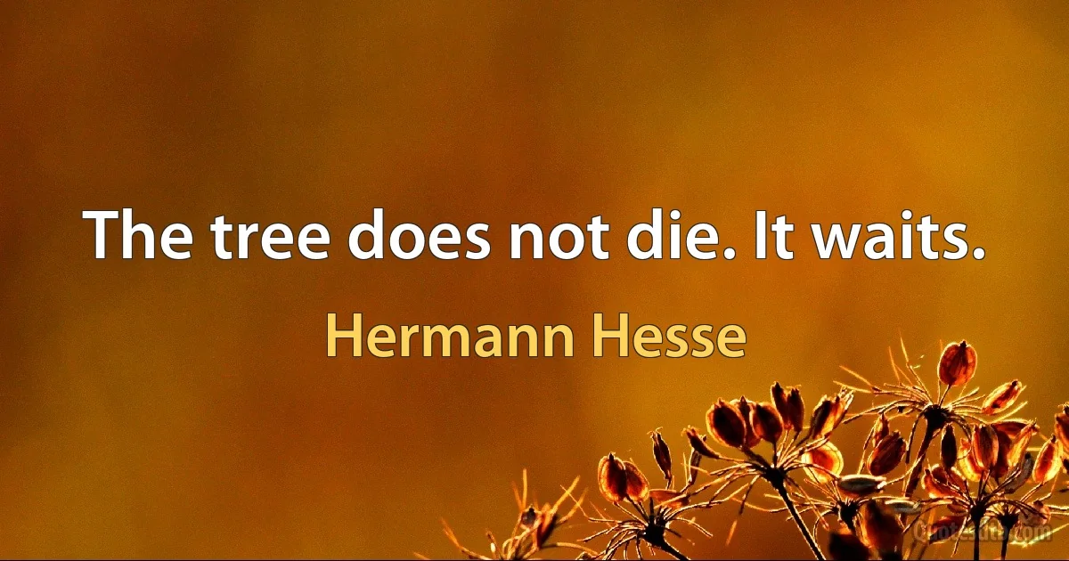 The tree does not die. It waits. (Hermann Hesse)