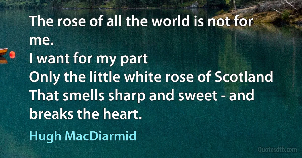 The rose of all the world is not for me.
I want for my part
Only the little white rose of Scotland
That smells sharp and sweet - and breaks the heart. (Hugh MacDiarmid)