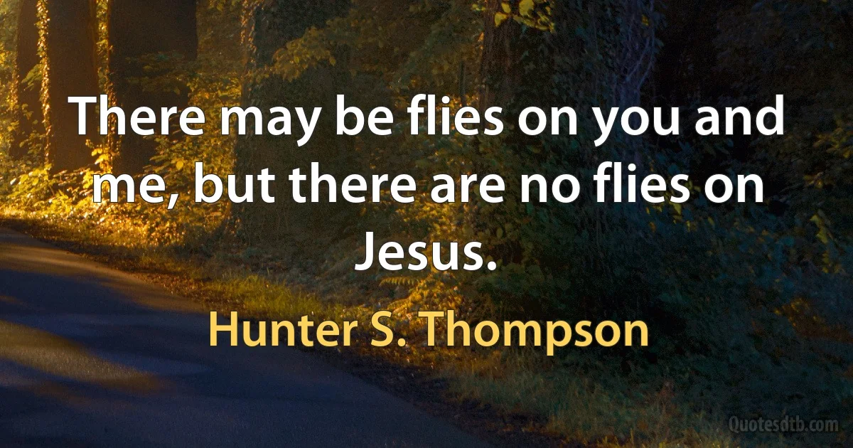 There may be flies on you and me, but there are no flies on Jesus. (Hunter S. Thompson)