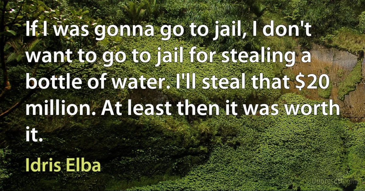 If I was gonna go to jail, I don't want to go to jail for stealing a bottle of water. I'll steal that $20 million. At least then it was worth it. (Idris Elba)