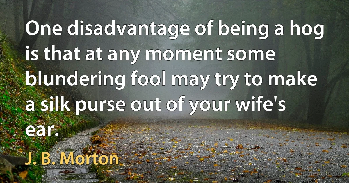 One disadvantage of being a hog is that at any moment some blundering fool may try to make a silk purse out of your wife's ear. (J. B. Morton)